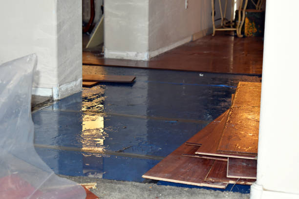 Professional Water Damage Restoration technician working in Lodge, SC